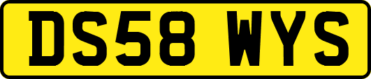 DS58WYS