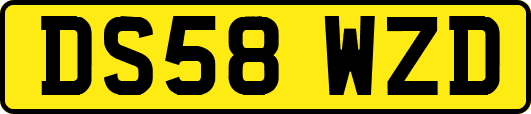 DS58WZD