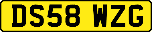 DS58WZG
