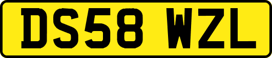 DS58WZL