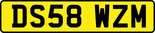 DS58WZM