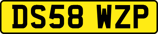 DS58WZP