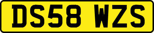 DS58WZS