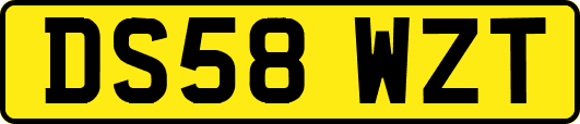 DS58WZT