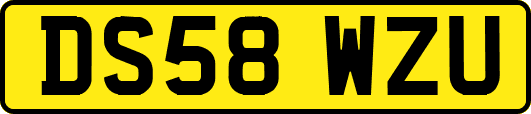 DS58WZU