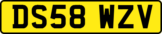 DS58WZV