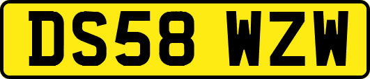 DS58WZW