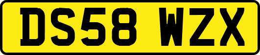 DS58WZX