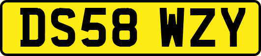 DS58WZY