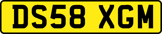 DS58XGM
