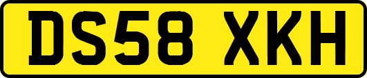DS58XKH