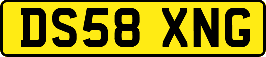 DS58XNG