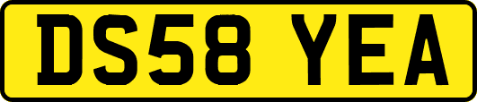 DS58YEA