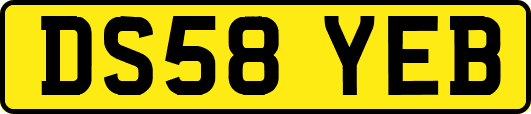 DS58YEB