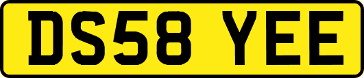 DS58YEE