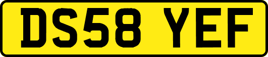 DS58YEF