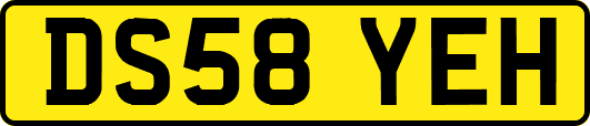 DS58YEH