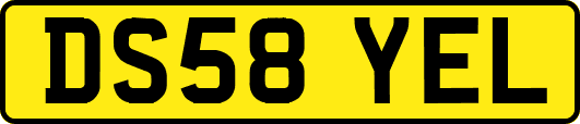 DS58YEL