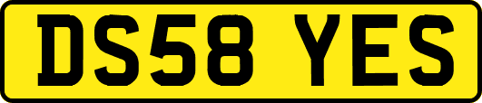 DS58YES