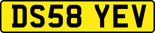 DS58YEV