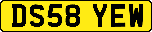 DS58YEW