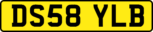 DS58YLB
