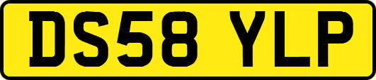 DS58YLP