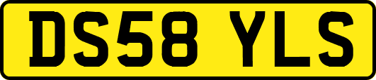 DS58YLS