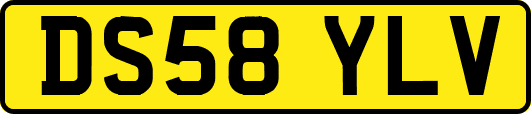 DS58YLV