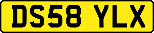 DS58YLX