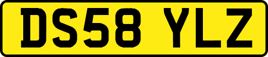 DS58YLZ
