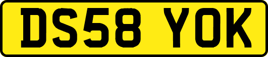 DS58YOK