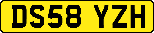 DS58YZH