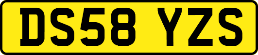 DS58YZS