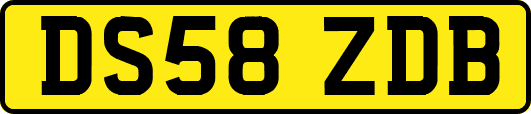 DS58ZDB