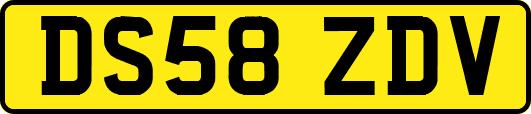 DS58ZDV