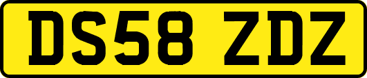 DS58ZDZ