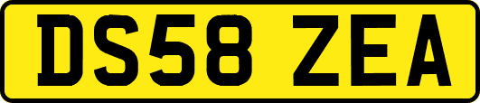DS58ZEA