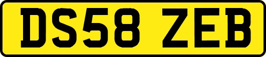 DS58ZEB