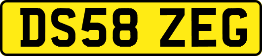 DS58ZEG