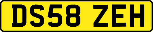 DS58ZEH