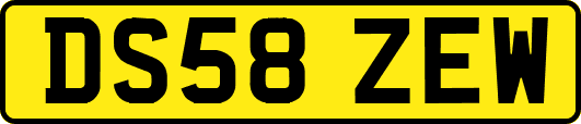 DS58ZEW