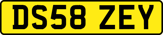 DS58ZEY