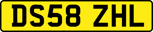 DS58ZHL