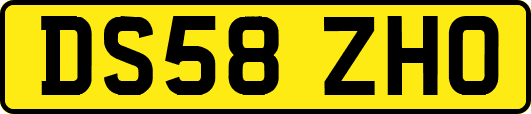DS58ZHO