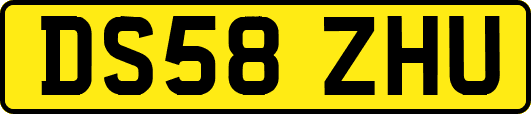DS58ZHU
