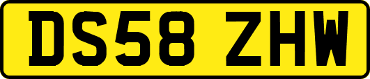 DS58ZHW