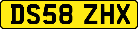 DS58ZHX