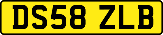 DS58ZLB