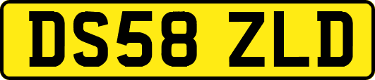 DS58ZLD